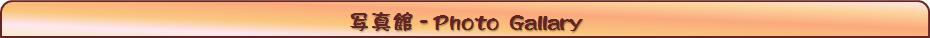 �ʐ^��